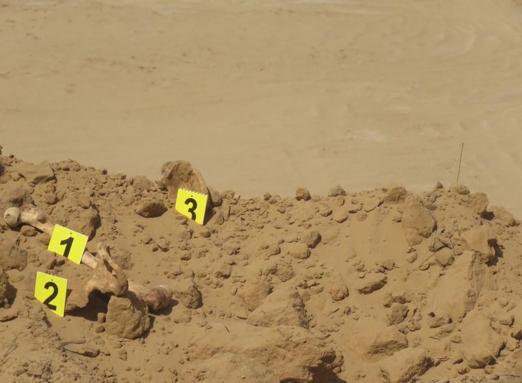 Человеческие скелеты обнаружены при строительстве дороги Атырау - Астрахань