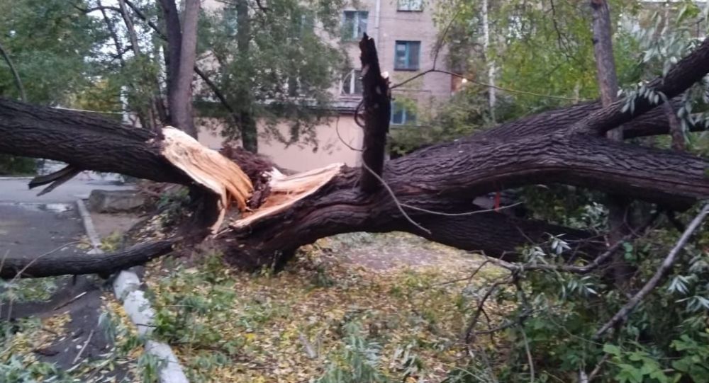 В Петропавловске устраняют последствия урагана