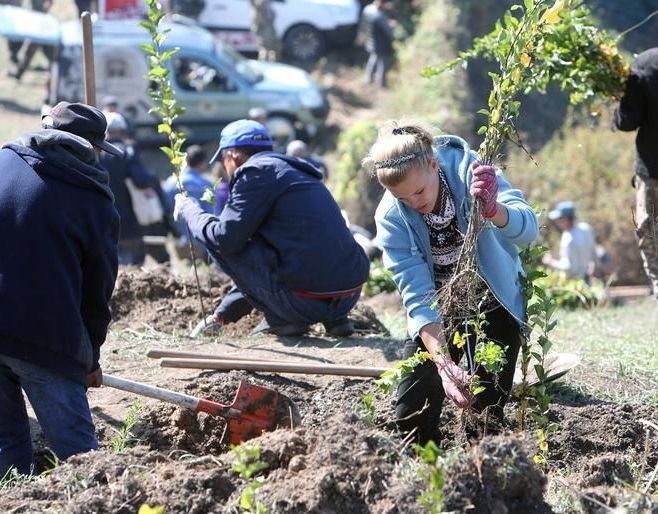 Волонтеры высадили яблони на склоне Кок-Тобе