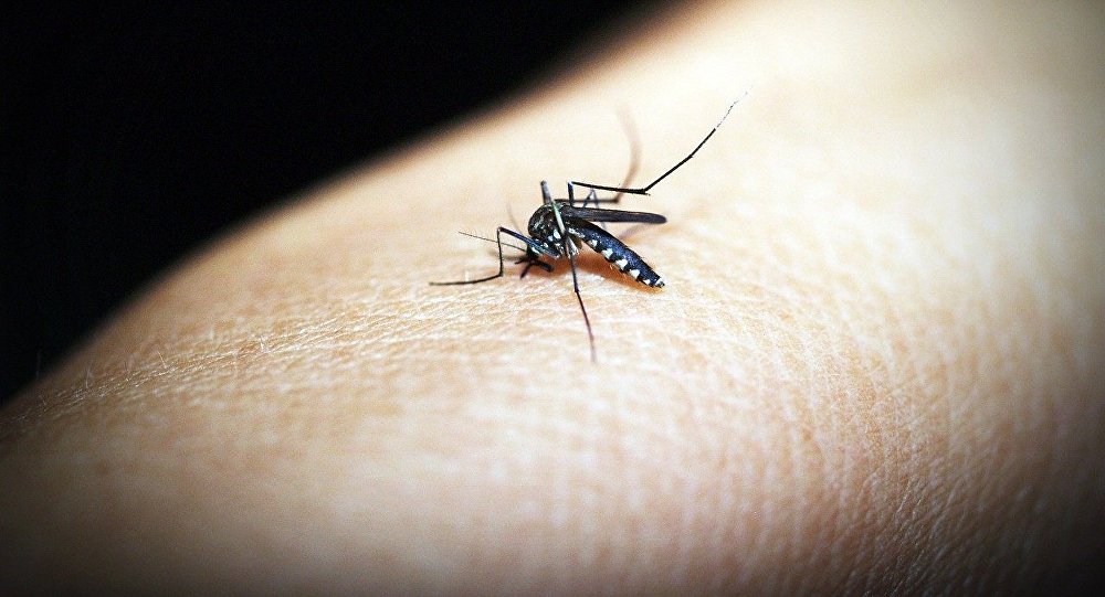 Токаев о столичных комарах: Мне даже неудобно на эту тему говорить