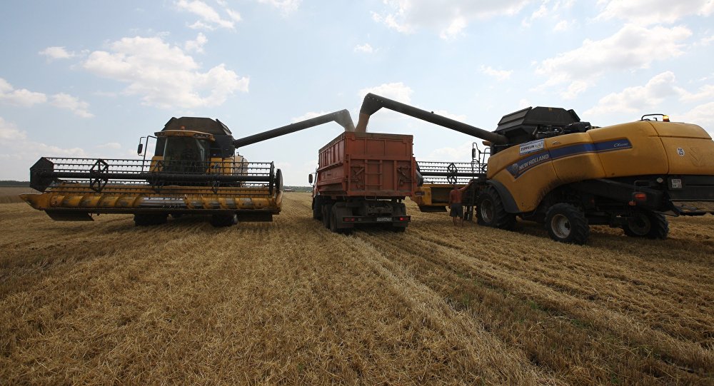 Почти 23 млн тонн зерна собрали в Казахстане в текущем году