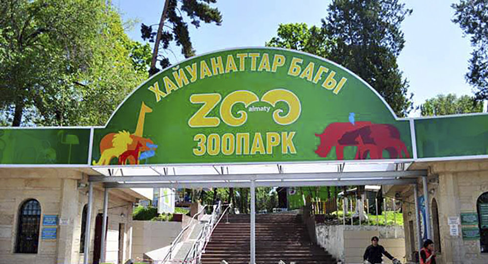 В зоопарке Алматы за месяц погибло шесть животных