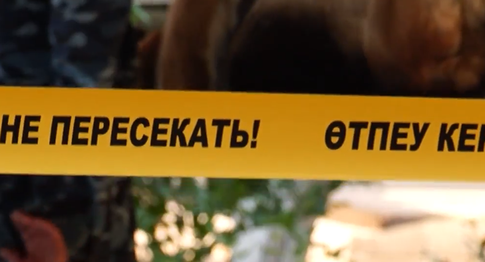 Стрельба в Усть-Каменогорске: ранен школьник 